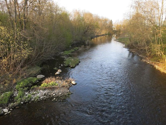 Maakond: Harjumaa Veekogu nimi: Pirita jõgi Pildistamise aeg: 28. aprill 2014 Pildistaja: H. Timm Pildistamise koht: Lagedi Asimuut: