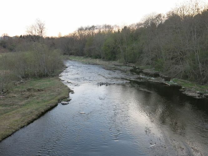 Maakond: Harjumaa Veekogu nimi: Pirita jõgi Pildistamise aeg: 28. aprill 2014 Pildistaja: H. Timm Pildistamise koht: Iru Asimuut: