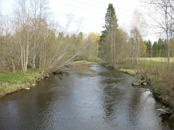 Maakond: Harjumaa Veekogu nimi: Pirita jõgi Pildistamise aeg: 29. aprill 2014 Pildistaja: H. Timm Pildistamise koht: Kose - Ravila Asimuut: