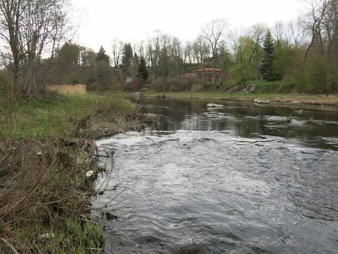 Maakond: Harjumaa Veekogu nimi: Pirita jõgi Pildistamise aeg: 29. aprill 2014 Pildistaja: H. Timm Pildistamise koht: Lükati Asimuut: