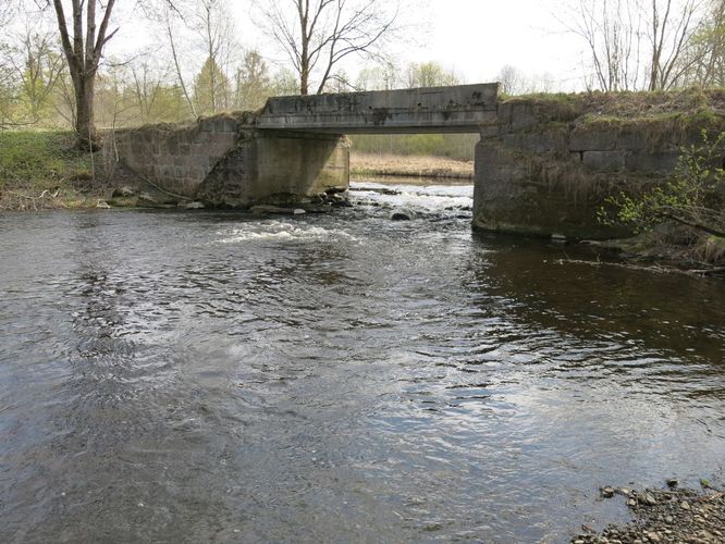 Maakond: Harjumaa Veekogu nimi: Pirita jõgi Pildistamise aeg: 29. aprill 2014 Pildistaja: H. Timm Pildistamise koht: Kose-Uuemõisa Asimuut: