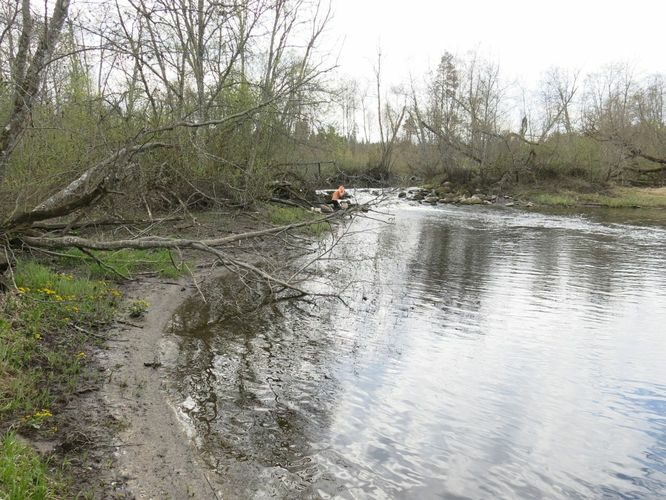 Maakond: Harjumaa Veekogu nimi: Pirita jõgi Pildistamise aeg: 29. aprill 2014 Pildistaja: H. Timm Pildistamise koht: Otiveski Asimuut: