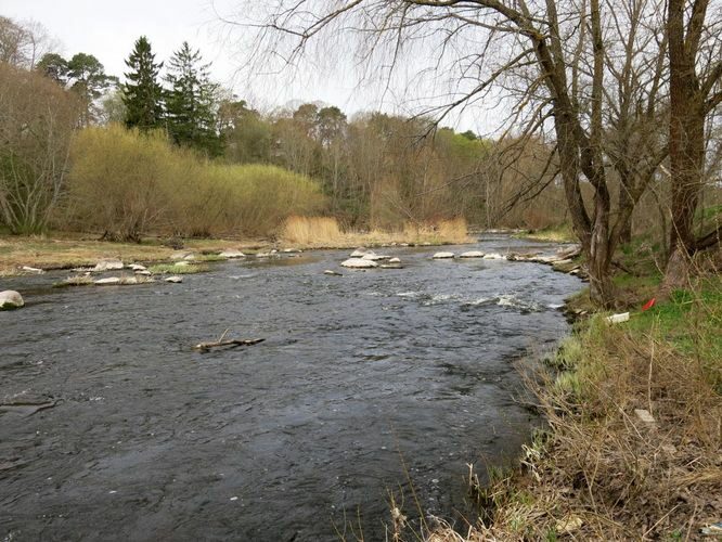 Maakond: Harjumaa Veekogu nimi: Pirita jõgi Pildistamise aeg: 29. aprill 2014 Pildistaja: H. Timm Pildistamise koht: Lükati Asimuut: