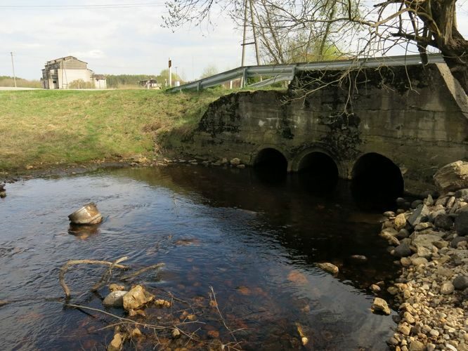 Maakond: Harjumaa Veekogu nimi: Pirita jõgi Pildistamise aeg: 29. aprill 2014 Pildistaja: H. Timm Pildistamise koht: Ardu Asimuut: