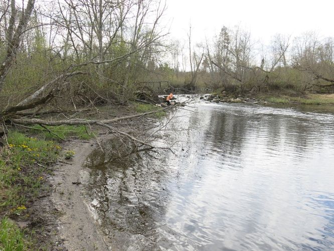 Maakond: Harjumaa Veekogu nimi: Pirita jõgi Pildistamise aeg: 29. aprill 2014 Pildistaja: H. Timm Pildistamise koht: Otiveski Asimuut: