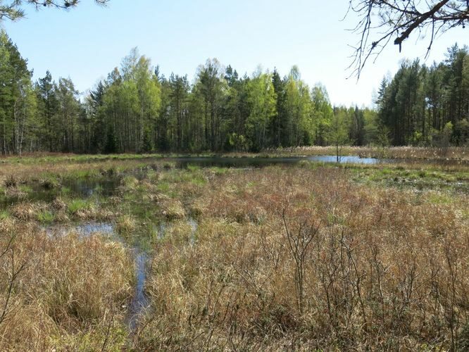 Maakond: Hiiumaa Veekogu nimi: Põhjata auk Pildistamise aeg: 15. mai 2014 Pildistaja: H. Timm Pildistamise koht: teadmata Asimuut: