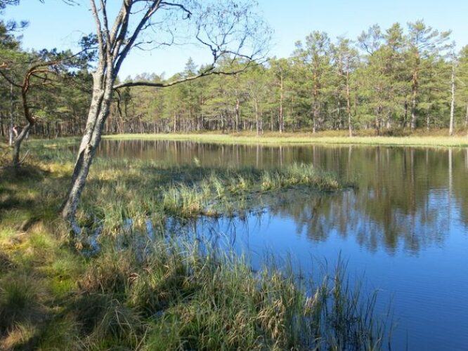 Maakond: Hiiumaa Veekogu nimi: Põhjatu järv Pildistamise aeg: 15. mai 2014 Pildistaja: H. Timm Pildistamise koht: teadmata Asimuut: