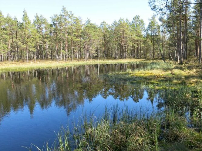 Maakond: Hiiumaa Veekogu nimi: Põhjatu järv Pildistamise aeg: 15. mai 2014 Pildistaja: H. Timm Pildistamise koht: teadmata Asimuut: