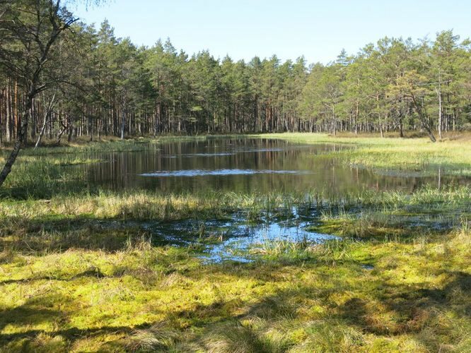 Maakond: Hiiumaa Veekogu nimi: Põhjatu järv Pildistamise aeg: 15. mai 2014 Pildistaja: H. Timm Pildistamise koht: teadmata Asimuut: