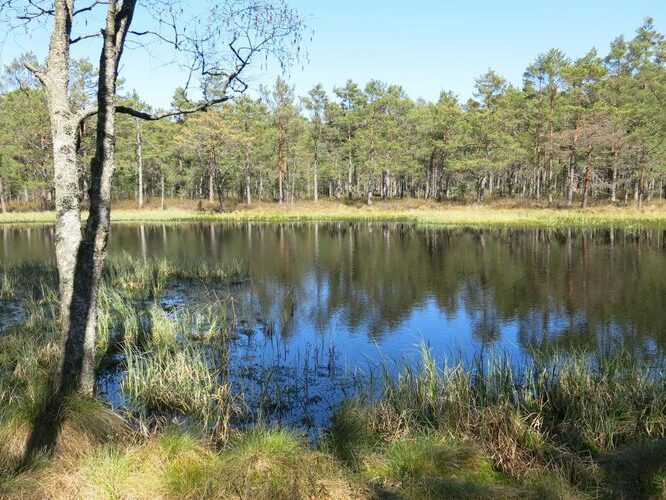 Maakond: Hiiumaa Veekogu nimi: Põhjatu järv Pildistamise aeg: 15. mai 2014 Pildistaja: H. Timm Pildistamise koht: teadmata Asimuut: