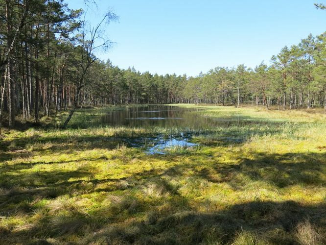 Maakond: Hiiumaa Veekogu nimi: Põhjatu järv Pildistamise aeg: 15. mai 2014 Pildistaja: H. Timm Pildistamise koht: teadmata Asimuut: