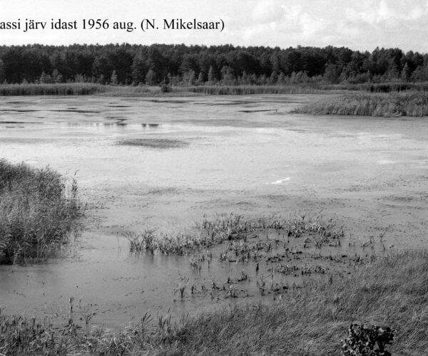 Maakond: Hiiumaa Veekogu nimi: Prassi järv Pildistamise aeg: august 1956 Pildistaja: N. Mikelsaar Pildistamise koht: E kaldalt Asimuut: W