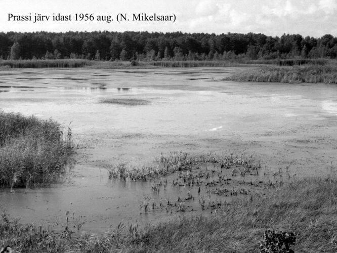 Maakond: Hiiumaa Veekogu nimi: Prassi järv Pildistamise aeg: august 1956 Pildistaja: N. Mikelsaar Pildistamise koht: E kaldalt Asimuut: W