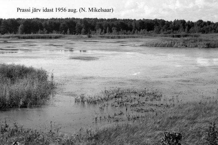Maakond: Hiiumaa Veekogu nimi: Prassi järv Pildistamise aeg: august 1956 Pildistaja: N. Mikelsaar Pildistamise koht: E kaldalt Asimuut: W