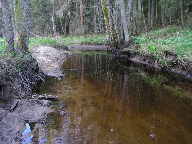 Maakond: Harjumaa Veekogu nimi: Pudisoo jõgi Pildistamise aeg: 13. mai 2009 Pildistaja: H. Timm Pildistamise koht: ülalpool Loksa teed Asimuut: