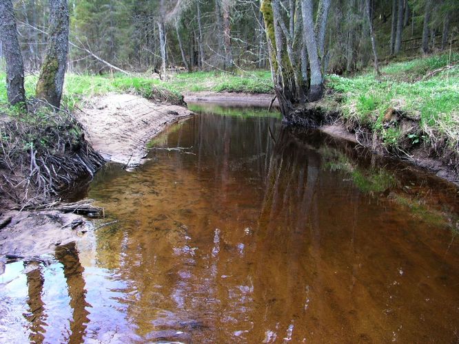 Maakond: Harjumaa Veekogu nimi: Pudisoo jõgi Pildistamise aeg: 14. mai 2009 Pildistaja: H. Timm Pildistamise koht: ülalpool Loksa teed Asimuut: