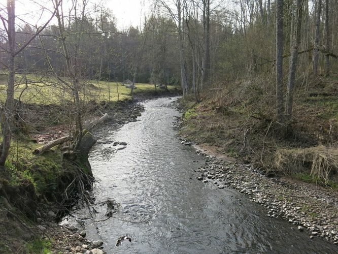 Maakond: Harjumaa Veekogu nimi: Pudisoo jõgi Pildistamise aeg: 27. aprill 2014 Pildistaja: H. Timm Pildistamise koht: Sae Asimuut: