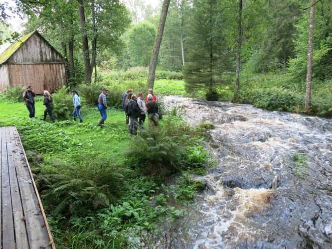 Maakond: Harjumaa Veekogu nimi: Pudisoo jõgi Pildistamise aeg: 27. august 2014 Pildistaja: H. Timm Pildistamise koht: Kalme Asimuut: