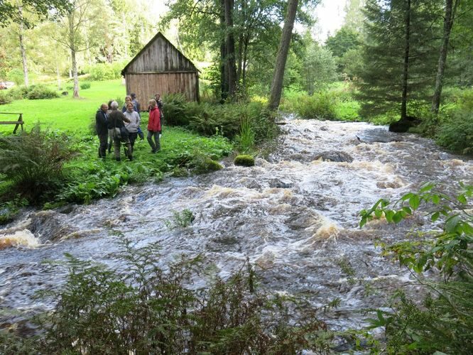 Maakond: Harjumaa Veekogu nimi: Pudisoo jõgi Pildistamise aeg: 27. august 2014 Pildistaja: H. Timm Pildistamise koht: Kalme Asimuut: