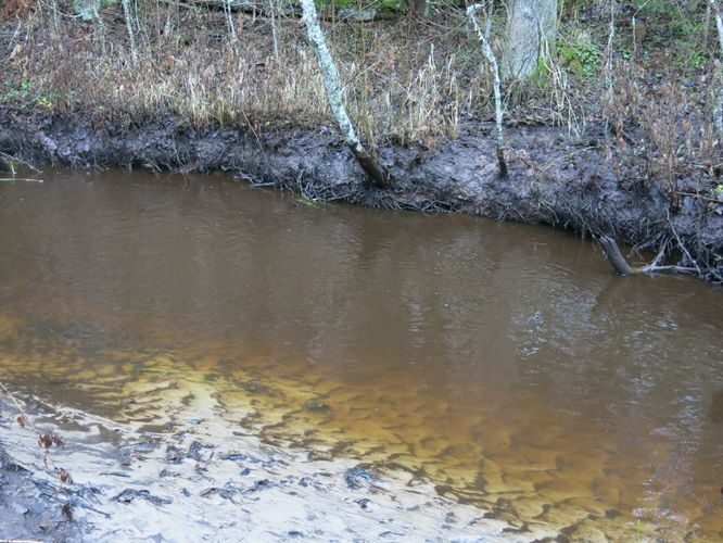 Maakond: Harjumaa Veekogu nimi: Pudisoo jõgi Pildistamise aeg: 11. november 2014 Pildistaja: H. Timm Pildistamise koht: Tõlde ja Kalme vahel Asimuut: