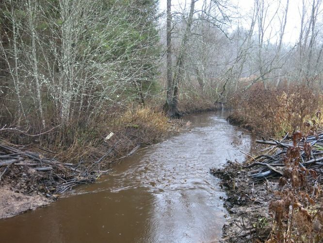 Maakond: Harjumaa Veekogu nimi: Pudisoo jõgi Pildistamise aeg: 11. november 2014 Pildistaja: H. Timm Pildistamise koht: Tõlde ja Kalme vahel Asimuut: