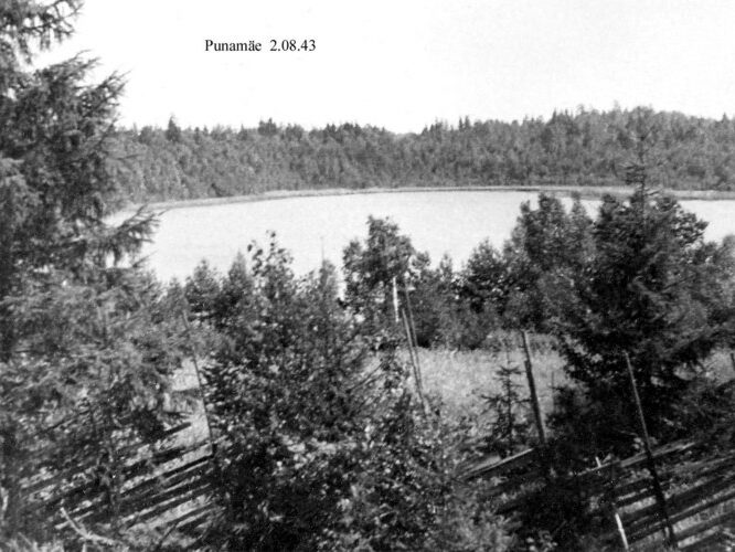 Maakond: Harjumaa Veekogu nimi: Punamäe järv Pildistamise aeg: 2. august 1943 Pildistaja: Pildistamise koht: teadmata Asimuut: