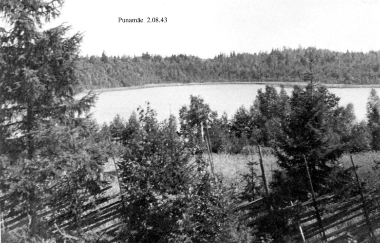 Maakond: Harjumaa Veekogu nimi: Punamäe järv Pildistamise aeg: 2. august 1943 Pildistaja: Pildistamise koht: teadmata Asimuut: