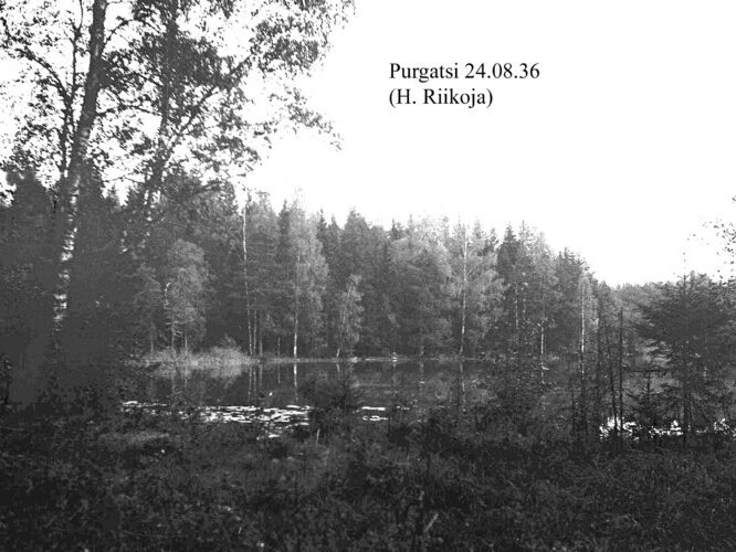 Maakond: Harjumaa Veekogu nimi: Purgatsi järv Pildistamise aeg: 24. august 1936 Pildistaja: H. Riikoja Pildistamise koht: teadmata Asimuut: