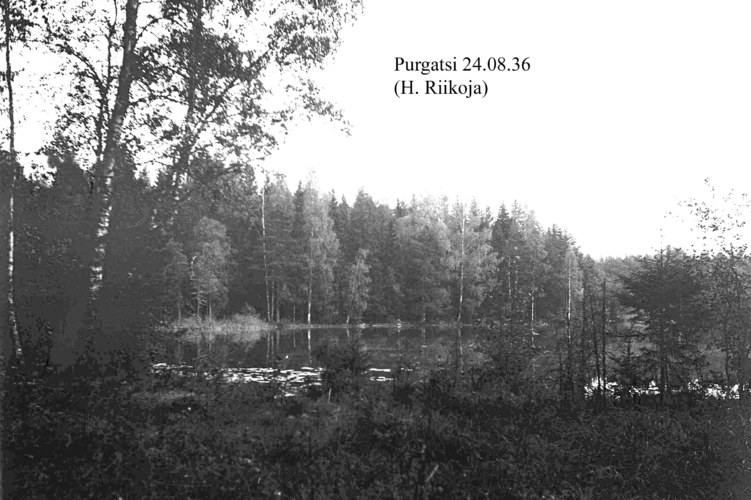 Maakond: Harjumaa Veekogu nimi: Purgatsi järv Pildistamise aeg: 24. august 1936 Pildistaja: H. Riikoja Pildistamise koht: teadmata Asimuut: