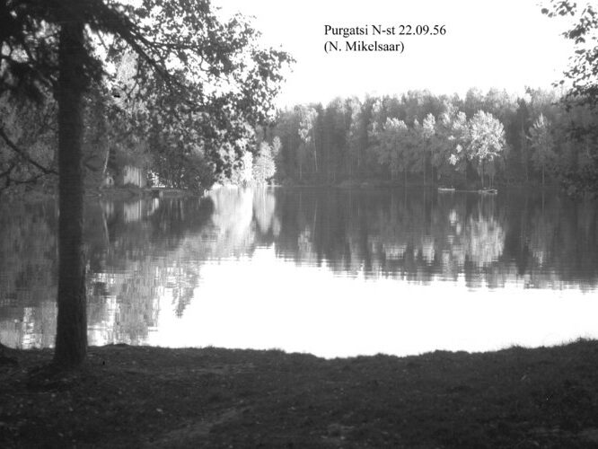 Maakond: Harjumaa Veekogu nimi: Purgatsi järv Pildistamise aeg: 22. september 1956 Pildistaja: N. Mikelsaar Pildistamise koht: N kaldalt Asimuut: