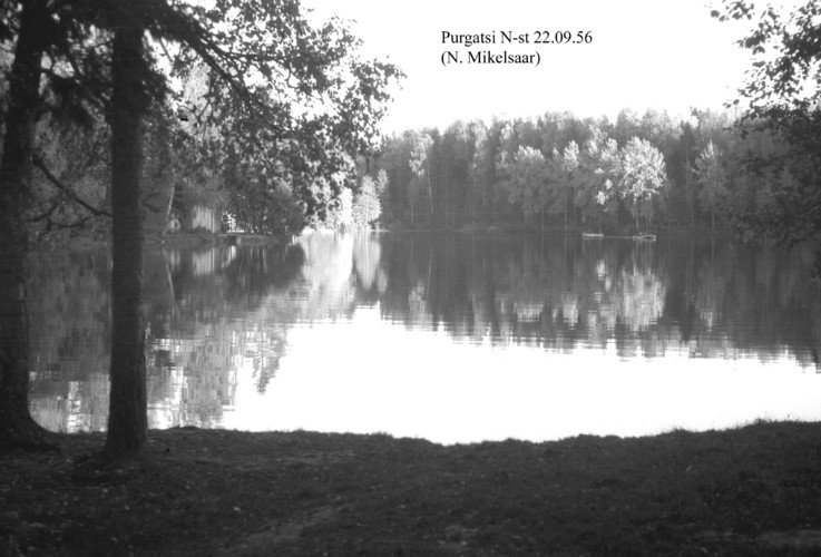 Maakond: Harjumaa Veekogu nimi: Purgatsi järv Pildistamise aeg: 22. september 1956 Pildistaja: N. Mikelsaar Pildistamise koht: N kaldalt Asimuut: