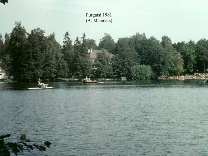 Maakond: Harjumaa Veekogu nimi: Purgatsi järv Pildistamise aeg: 1981 Pildistaja: A. Mäemets Pildistamise koht: teadmata Asimuut: