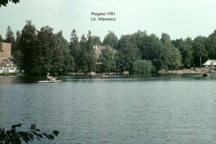 Maakond: Harjumaa Veekogu nimi: Purgatsi järv Pildistamise aeg: 1981 Pildistaja: A. Mäemets Pildistamise koht: teadmata Asimuut: