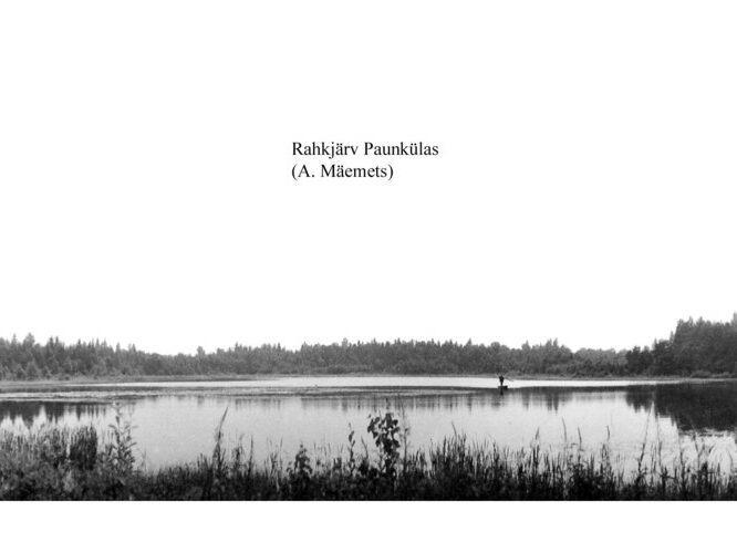 Maakond: Harjumaa Veekogu nimi: Rahkjärv Pildistamise aeg: teadmata Pildistaja: A. Mäemets Pildistamise koht: teadmata Asimuut: