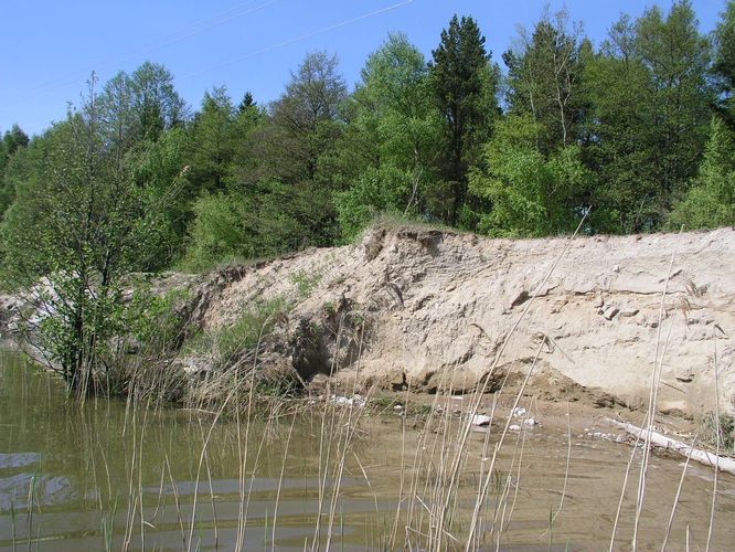 Maakond: Harjumaa Veekogu nimi: Raku karjäär Pildistamise aeg: 20. mai 2009 Pildistaja: H. Timm Pildistamise koht: teadmata Asimuut: