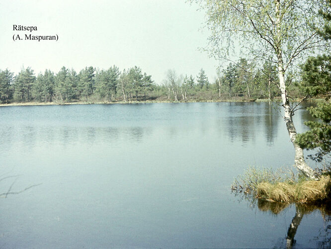 Maakond: Harjumaa Veekogu nimi: Rätsepa järv Pildistamise aeg: teadmata Pildistaja: A. Maspuran Pildistamise koht: teadmata Asimuut: