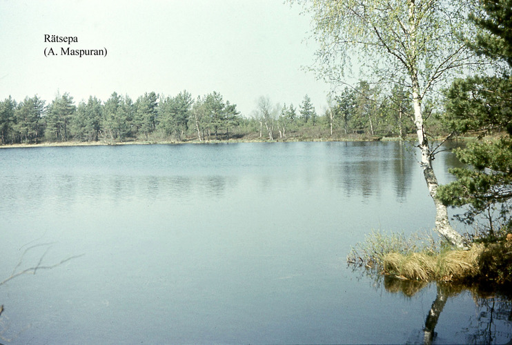 Maakond: Harjumaa Veekogu nimi: Rätsepa järv Pildistamise aeg: teadmata Pildistaja: A. Maspuran Pildistamise koht: teadmata Asimuut: