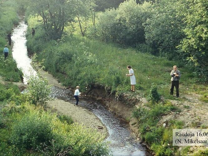 Maakond: Harjumaa Veekogu nimi: Raudoja Pildistamise aeg: 16. juuni 1975 Pildistaja: N. Mikelsaar Pildistamise koht: allpool Piibe mnt. silda Asimuut: