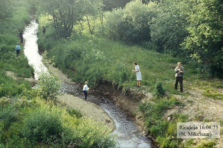 Maakond: Harjumaa Veekogu nimi: Raudoja Pildistamise aeg: 16. juuni 1975 Pildistaja: N. Mikelsaar Pildistamise koht: allpool Piibe mnt. silda Asimuut: