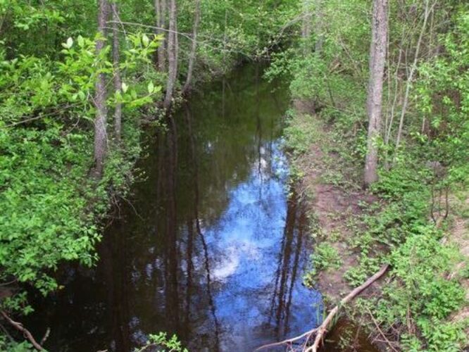 Maakond: Hiiumaa Veekogu nimi: Rebasselja pkr. Pildistamise aeg: 16. mai 2011 Pildistaja: H. Timm Pildistamise koht: teadmata Asimuut: