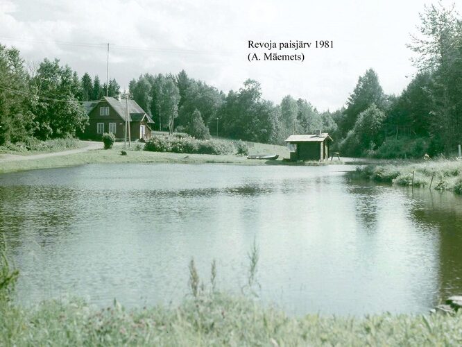 Maakond: Harjumaa Veekogu nimi: Reooja paisjärv Pildistamise aeg: 1981 Pildistaja: A. Mäemets Pildistamise koht: teadmata Asimuut: