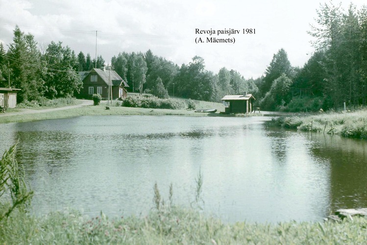 Maakond: Harjumaa Veekogu nimi: Reooja paisjärv Pildistamise aeg: 1981 Pildistaja: A. Mäemets Pildistamise koht: teadmata Asimuut: