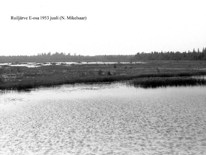 Maakond: Harjumaa Veekogu nimi: Ruiljärv Pildistamise aeg: juuli 1953 Pildistaja: N. Mikelsaar Pildistamise koht: E-osa Asimuut: