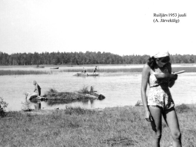 Maakond: Harjumaa Veekogu nimi: Ruiljärv Pildistamise aeg: juuli 1953 Pildistaja: A. Järvekülg Pildistamise koht: E-osa Asimuut: