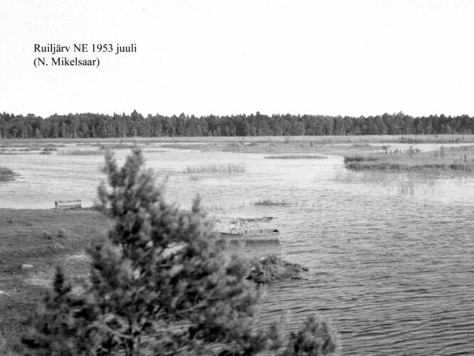 Maakond: Harjumaa Veekogu nimi: Ruiljärv Pildistamise aeg: juuli 1953 Pildistaja: N. Mikelsaar Pildistamise koht: NE kaldalt Asimuut: