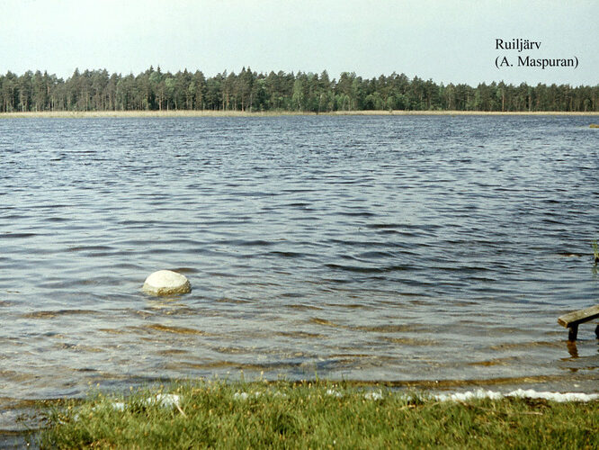 Maakond: Harjumaa Veekogu nimi: Ruiljärv Pildistamise aeg: teadmata Pildistaja: A. Maspuran Pildistamise koht: teadmata Asimuut: