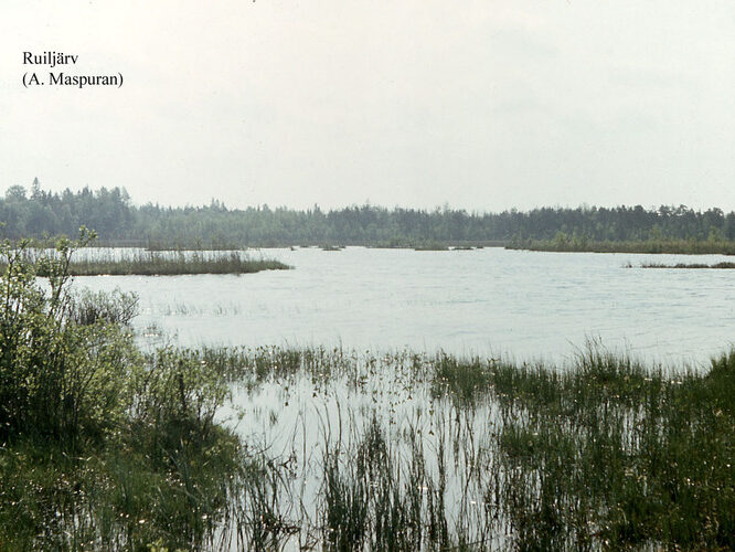 Maakond: Harjumaa Veekogu nimi: Ruiljärv Pildistamise aeg: teadmata Pildistaja: A. Maspuran Pildistamise koht: teadmata Asimuut: