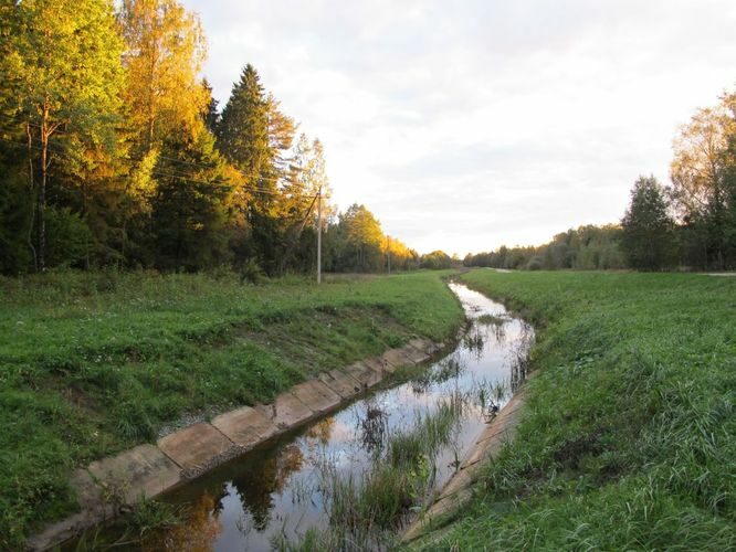 Maakond: Harjumaa Veekogu nimi: Sae - Paunküla kanal Pildistamise aeg: 20. september 2010 Pildistaja: H. Timm Pildistamise koht: teadmata Asimuut: