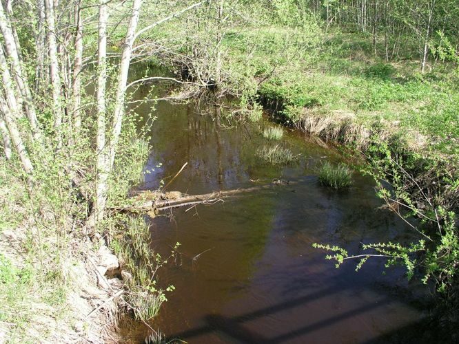 Maakond: Hiiumaa Veekogu nimi: Silmaoja Pildistamise aeg: 24. mai 2003 Pildistaja: H. Timm Pildistamise koht: Lilbi Asimuut: