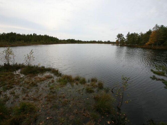 Maakond: Harjumaa Veekogu nimi: Soeotsa Mustjärv Pildistamise aeg: 26. september 2008 Pildistaja: H. Timm Pildistamise koht: teadmata Asimuut: